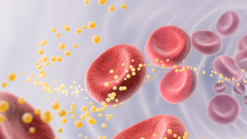 Imagen de Check up Saludable II